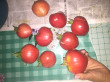Отзыв на Семена. Томат «Бычье сердце розовое», 0.1 г от Жадыра Бауыржанкызы