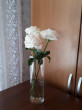 Отзыв на Ваза для цветов «Flora» от Бахтияр