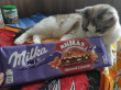 Отзыв на Шоколад Milka «Almond» от Юлия 