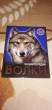 Отзыв на Энциклопедия. Волки от Dorcas Purdy