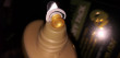 Отзыв на Маска-пленка с золотом и муцином улитки «24K Gold Snail» от Елена