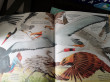 Отзыв на Big book of animals от Dr. Presley Ward