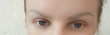 Отзыв на Фломастер для бровей «Brow Permanent Marker», оттенок 01 Blonde от Денис