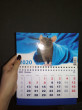 Отзыв на Календарь моно «Символ года-28» от Жанна