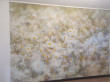 Отзыв на Фотообои «Daisies» (368 х 254 см) от Askar