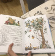 Отзыв на Приключения Незнайки и его друзей от Алина