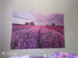 Отзыв на Фотообои «Lavendel» (184 х 127 см) от Наталья