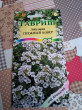 Отзыв на Семена. Лобулярия «Снежный ковер», 0,2 г от Галина