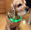 Отзыв на Светящийся шнурок на шею LED (20-70 см) от Rogelio Durgan