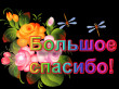 Отзыв на Миниролл от Светлана Зиновьевна