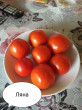 Отзыв на Семена. Томат «Ляна», 0,1 г от Оксана