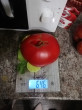 Отзыв на Семена. Томат «Малиновый слон», 0,1 г от Оксана Николаевна