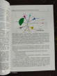 Отзыв на Инфекция Helicobacter pylori от Jess Keeling