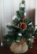 Отзыв на Ель декоративная с шишками и ягодами «Кристина» от Алтынгуль