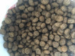 Отзыв на Корм низкозерновой для кошек «Курица и рыба» от Rich
