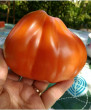 Отзыв на Семена. Томат «Пузата хата», 0,1 г от Людмила