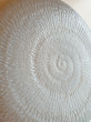 Отзыв на Тарелка обеденная «Ammonite Granit» от Anna