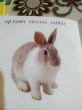 Отзыв на Аулада. Во дворе. Yard от Mr. Mavis McGlynn