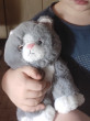 Отзыв на Игрушка мягкая «Котёнок Дымка» от Екатерина