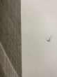 Отзыв на Жутко громко и запредельно близко от Minora