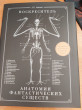 Отзыв на Воскреситель, или Анатомия фантастических существ: Утерянный труд доктора Спенсера Блэка от Анна