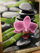 Отзыв на Картина по номерам «Бамбук и орхидея» от Жанара