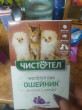 Отзыв на Ошейник для кошек и мелких собак антипаразитарный от Татьяна Баллыева