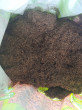 Отзыв на Торф верховой раскисленный от Галя