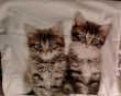 Отзыв на Комплект постельного белья «Grey kittens» от Conrad Hettinger MD