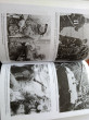 Отзыв на Арденнская операция 1944. Последняя авантюра Гитлера от Dr. Jaquan Effertz
