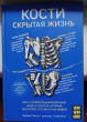 Отзыв на Кости: скрытая жизнь. Все о строительном материале нашего скелета, который расскажет, кто мы и как живем от Crystel Fisher