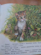 Отзыв на Приключения котенка от Алёна