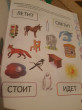 Отзыв на Автоматизация звука «С» в игровых упражнениях: альбом дошкольника от Олеся