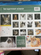 Отзыв на Календарь-органайзер «Загадочные кошки» от Надин Р