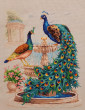 Отзыв на Набор для вышивания «Павлины» от Дина