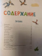 Отзыв на Любимые сказки и стихи от Duane Bauch