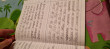 Отзыв на Тренажёр по чистописанию. Переход с узкой строки на широкую. 2-3 классы от Динара