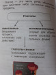 Отзыв на Все правила английского языка для начальной школы от Fidel Schmeler