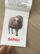 Отзыв на Животные фермы. Обучающая книжка по методике Г. Домана от Карина