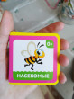 Отзыв на Книжка-кубик «Насекомые» от Мугульсум Жамантаевна