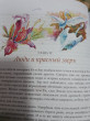 Отзыв на Пещерный лев от Mrs. Alysha Satterfield