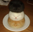 𝐙𝐚𝐮𝐫𝐞𝐬𝐡
