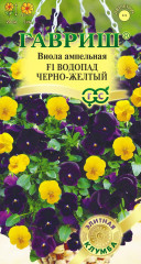 Виола Виттрока ампельная «Водопад черно-желтый F1»