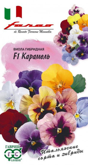 Виола Виттрока «Карамель F1»