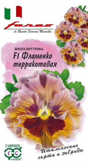 Виола Виттрока «Фламенко терракотовая F1»