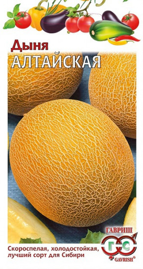 Дыня «Алтайская», 1 г