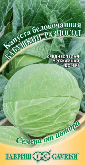 Капуста белокочанная «Бабушкин разносол» для квашения, 0,5 г