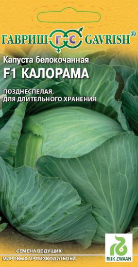Капуста белокочанная «Калорама F1» для хранения, 10 шт
