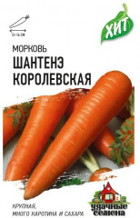 Морковь «Шантенэ королевская»