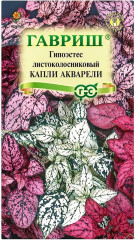 Гипоэстес «Капли акварели»